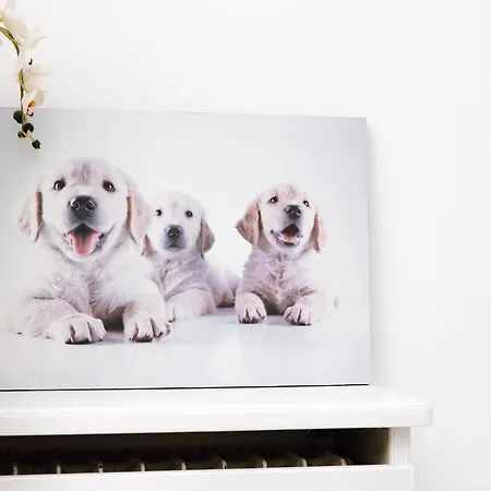 Hubertus I * Bad Pyrmont