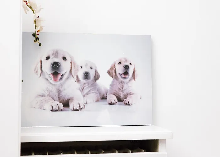 Hubertus I * Bad Pyrmont